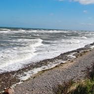 Strand vid Östersjön
