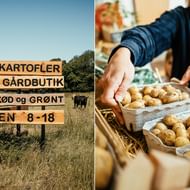Kalø farm shop