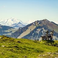 Panoramavy i Salzkammergut