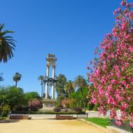 Blommor i Sevilla