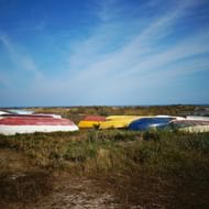 Båtar på Gotland