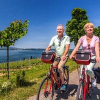 Två cyklister med röda cyklar pausar på en stig vid Bodensjön. Vingårdar och träd kantar stranden under klar blå himmel.