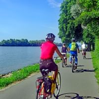 Cykling längs Rhen