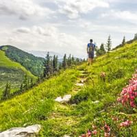 Wanderer im Salzkammergut auf der Almentour