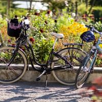 Cyklar i Stockholm