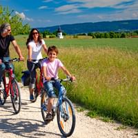 Familie radelt am Bodenseeradweg in der Landschaft