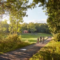 Family biking