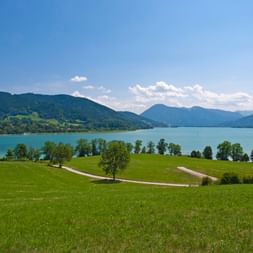 Panorama över Tegernsee