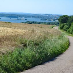 Landskap i Östjylland