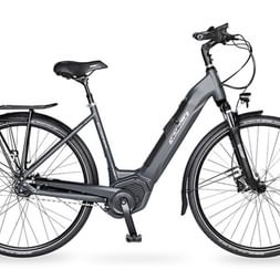 Electric bike
