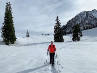 Vintervandring i Salzkammergut