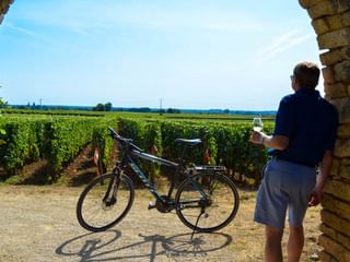 Cykelpaus med vin
