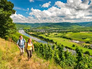 Vandring med fantastisk panorama längs Mosel