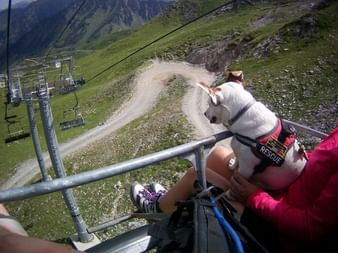 Vandringsresor med hund
