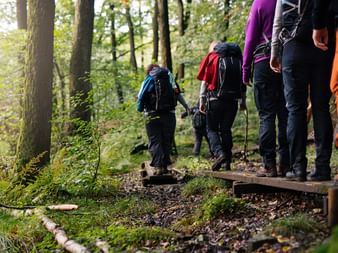 Hikers along Sörmlandsleden