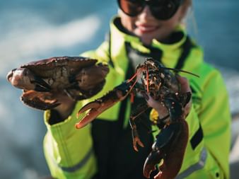 Catching sea food on the island of Hönö