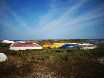 Båtar på Gotland