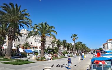 Split hamn