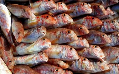 Färsk fisk i Apulien