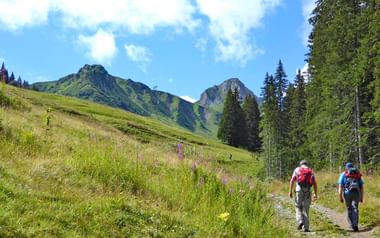 Vandrare i Adelboden Vandrare i Adelboden