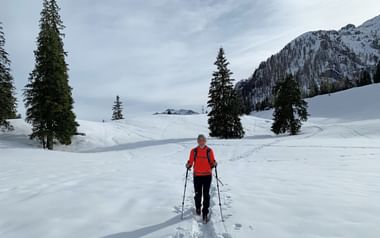Vintervandring i Salzkammergut