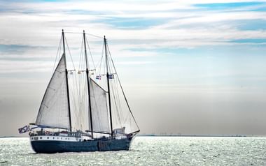 Mare Fan Fryslan