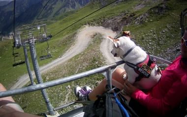 Vandringsresor med hund