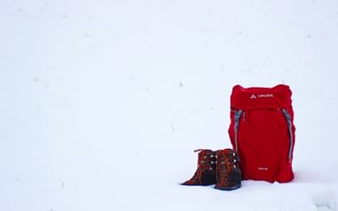 Vintervandring i Österrike