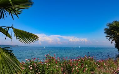 Mainau ön med utsikt på sjön
