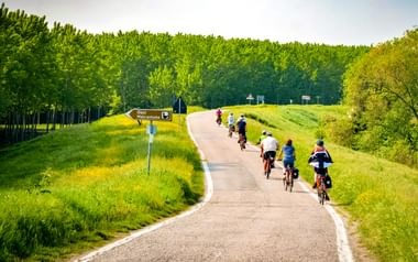 Cykling på landet
