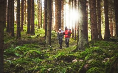 Vandrare i skogen