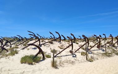 Ankare längs vägen