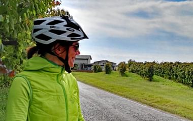 Cyklist bredvid vingård