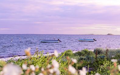 Insel Samsø mit Booten