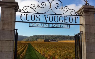 Bourgogne Clos Vougeot