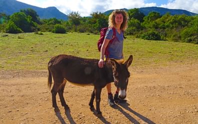 Wanderin mit Esel am Wanderweg nach Golgo