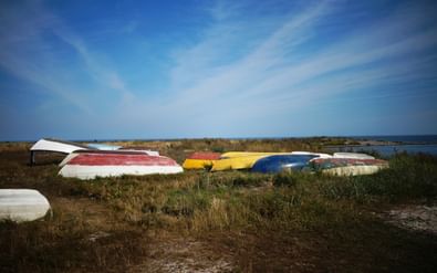 Boats on Gotland