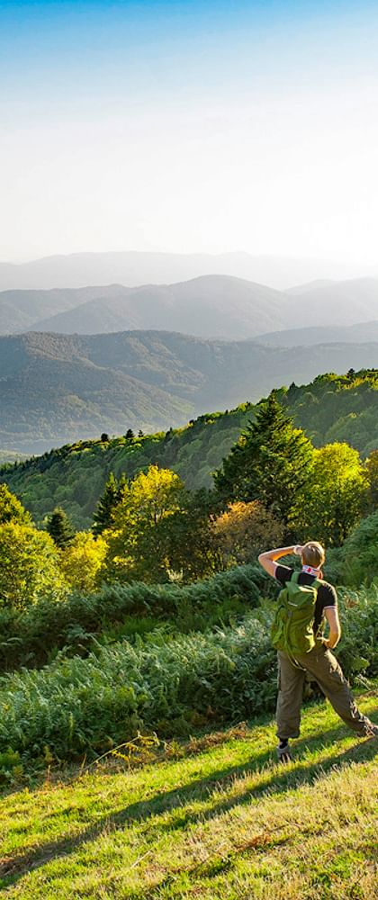 Underbar panorama