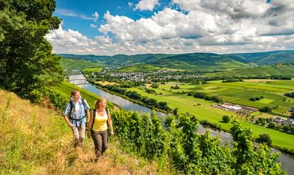 Vandringsled med panoramautsikt längs Mosel