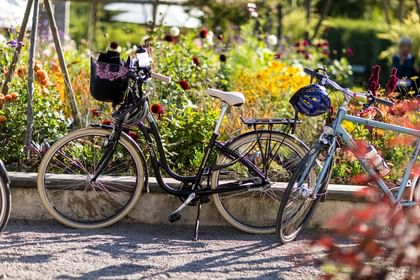 Arcadia fahrrad 2025