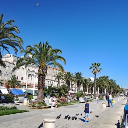 Split hamn