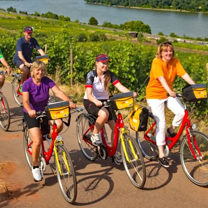 Cykelväg längs Rhen