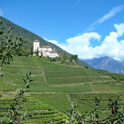 Alte Burgen und grüne Weinberge auf der Südlichen Weinstraße