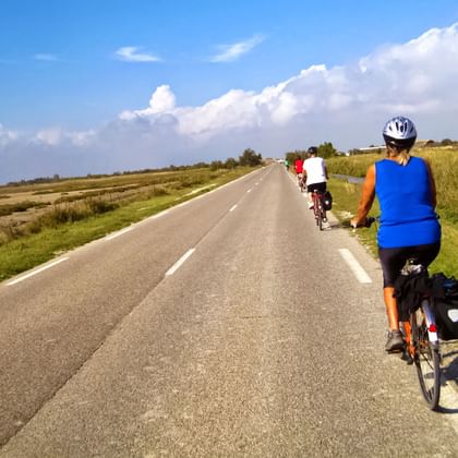 Cykling i Provence och Camargue