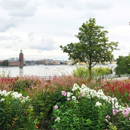 Ausblick auf das Stadshuset