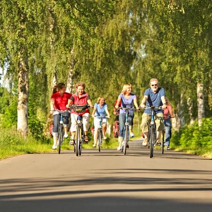 Cykelgrupp på väg längs Weser cykelresa