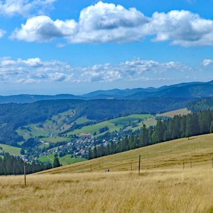 Härligt landskap i Schwarzwald
