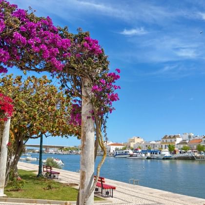 Kuststaden Tavira