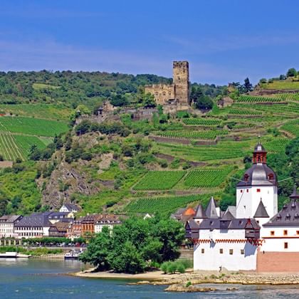 Pfalzgrafenstein borg