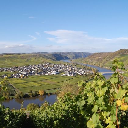 Härlig panorama över Moseldalen